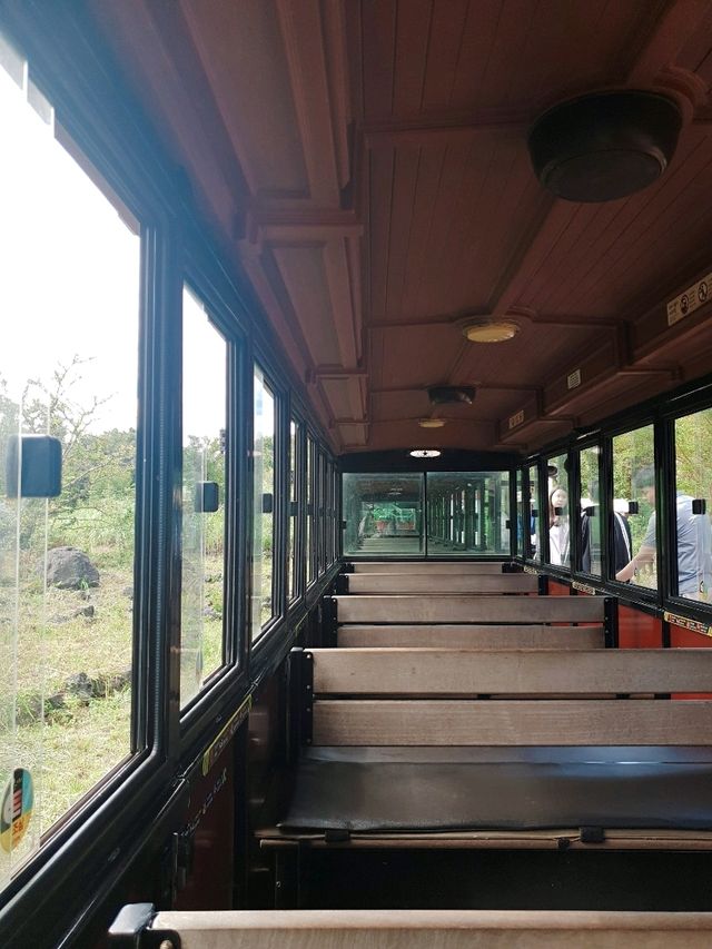 제주 여행 필수코스~! 에코랜드 테마파크🏞