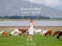 ถ่ายรูปเช็คอินกันที่เขื่อนป่าสัก