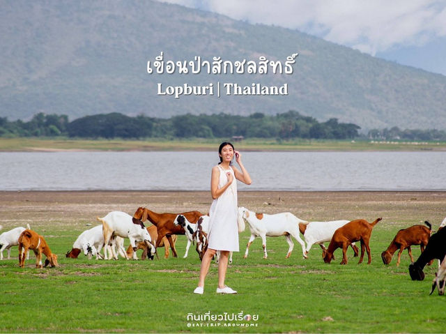 ถ่ายรูปเช็คอินกันที่เขื่อนป่าสัก
