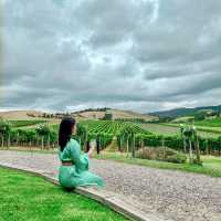 Visiting one of the world's biggest wine producers