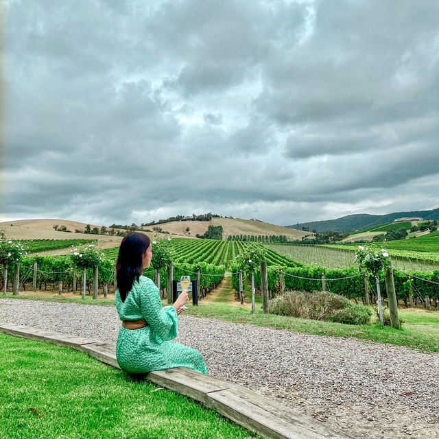 Visiting one of the world's biggest wine producers