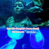Sea Life Bangkok Ocean World สยามพารากอน