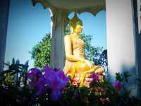 อุทยานแห่งชาติภูเรือ จ.เลย