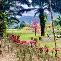 “King Kong Khao Sok: Discovering Thailand’s Jungle”