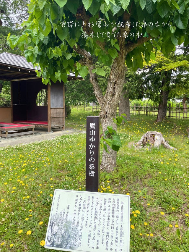 無料で見学できる！レトロでおしゃれな上杉伯爵邸🌲