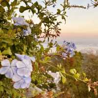 "Captivating Views from Penang Hill: A Scenic Delight"