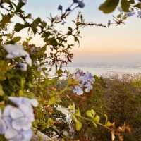 "Captivating Views from Penang Hill: A Scenic Delight"