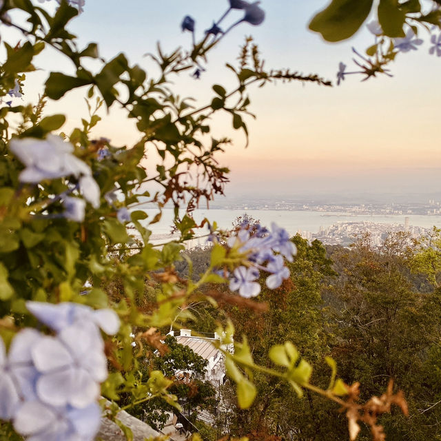 "Captivating Views from Penang Hill: A Scenic Delight"