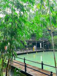 《小貼士》湖洲山莊：靚湖畔茶室，愛護環境