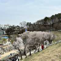 예쁜 꽃과 호수가 인상깊었던 이천 설봉공원🏞️