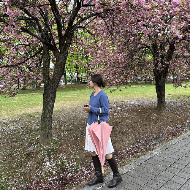 예쁜 꽃과 산책을 즐길수 있는 미사경정공원🌸