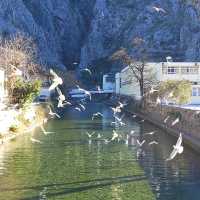 Kotor: Montenegro’s Hidden Fjord Paradise