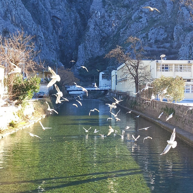 Kotor: Montenegro’s Hidden Fjord Paradise