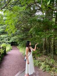 輕井澤 | 四季風景如畫 森林系景點雲場池🌲
