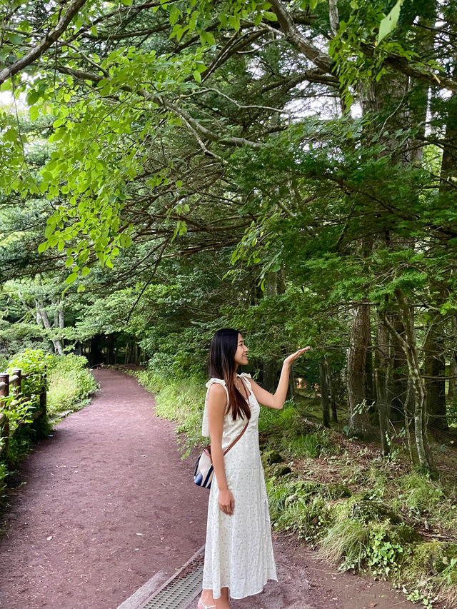 輕井澤 | 四季風景如畫 森林系景點雲場池🌲