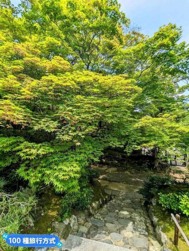 日本京都-參天竹林密境的嵐山之美