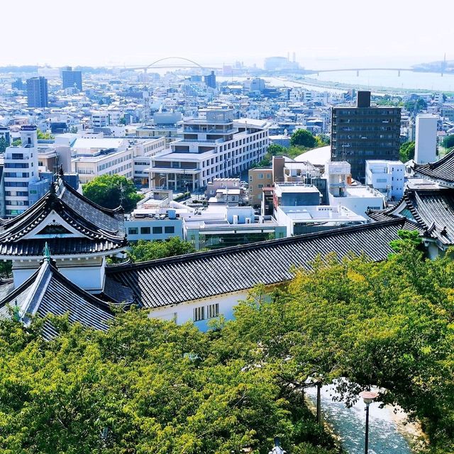 快閃和歌山