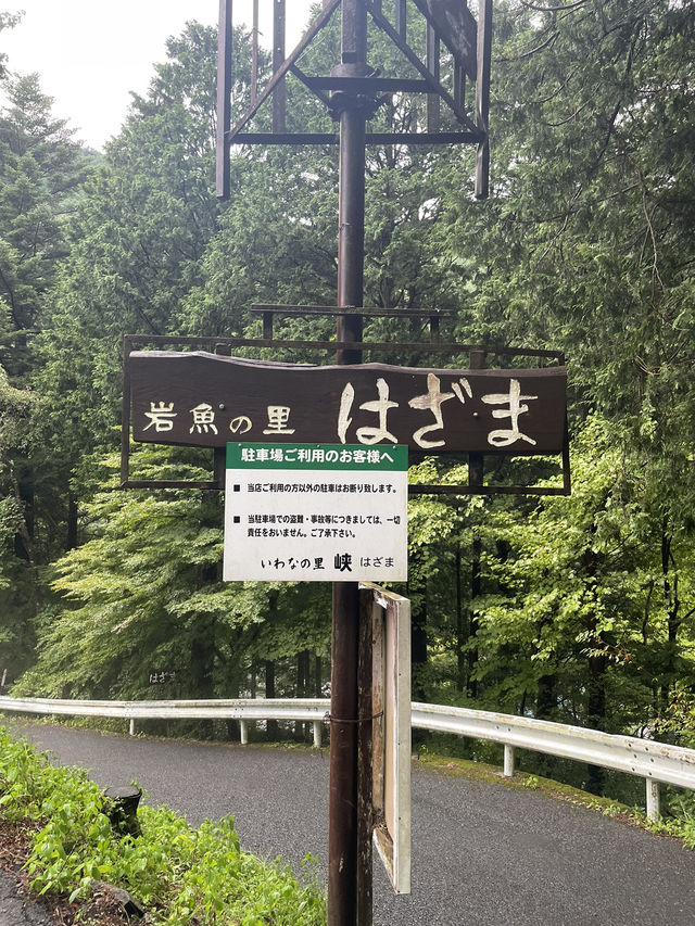 岐阜　絶景✨エメラルドグリーンの川🏞️