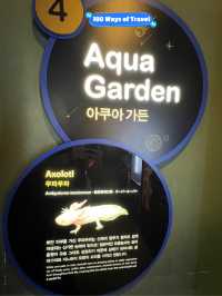 🇰🇷 Aqua planet 63
