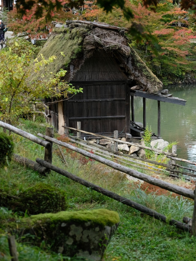 Hida Folk Village หมู่พื้นเมืองฮิดะของญี่ปุ่น