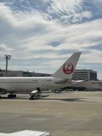 奄美大島　飛行機で行く大阪→奄美大島✈️