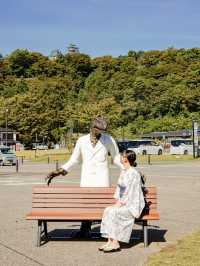 📍越前おおの結楽座