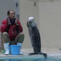 ～下關市立水族館～美麗海洋世界～