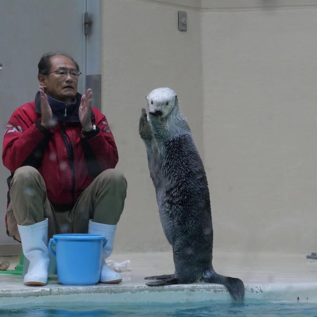 ～下關市立水族館～美麗海洋世界～