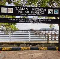 "Discovering the Natural Wonders of Penang National Park"