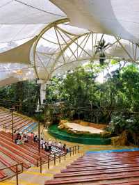 Watching the Wildlife Performances at Singapore Zoo