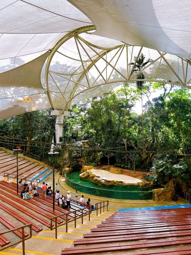 Watching the Wildlife Performances at Singapore Zoo