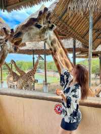 Amazing place for animal lovers🦒💛