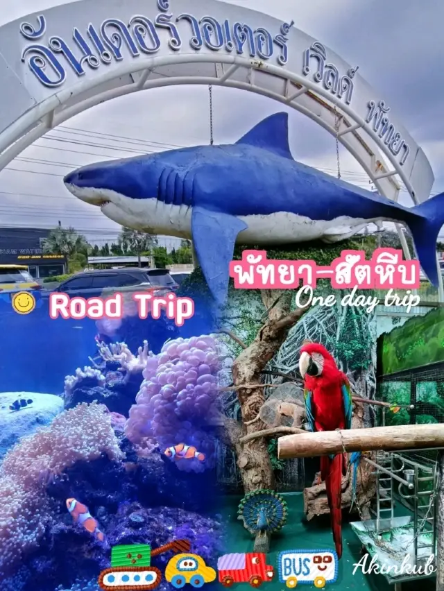Road Trip 尋找尼莫