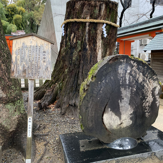神聖探訪：神戶生田神社的靈感🏯🌸🙏