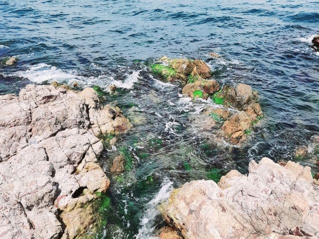 【伊斯坦布爾】Heybeliada Island：度假聖地，45分鐘船程