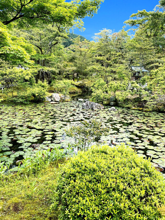 【京都】蓬莱式枯山水庭園