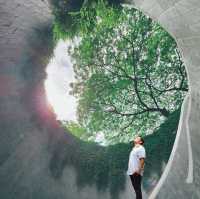 Fort Canning Park Tree Tunnel 