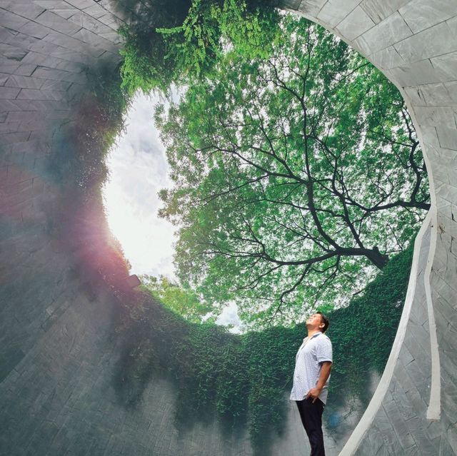 Fort Canning Park Tree Tunnel 