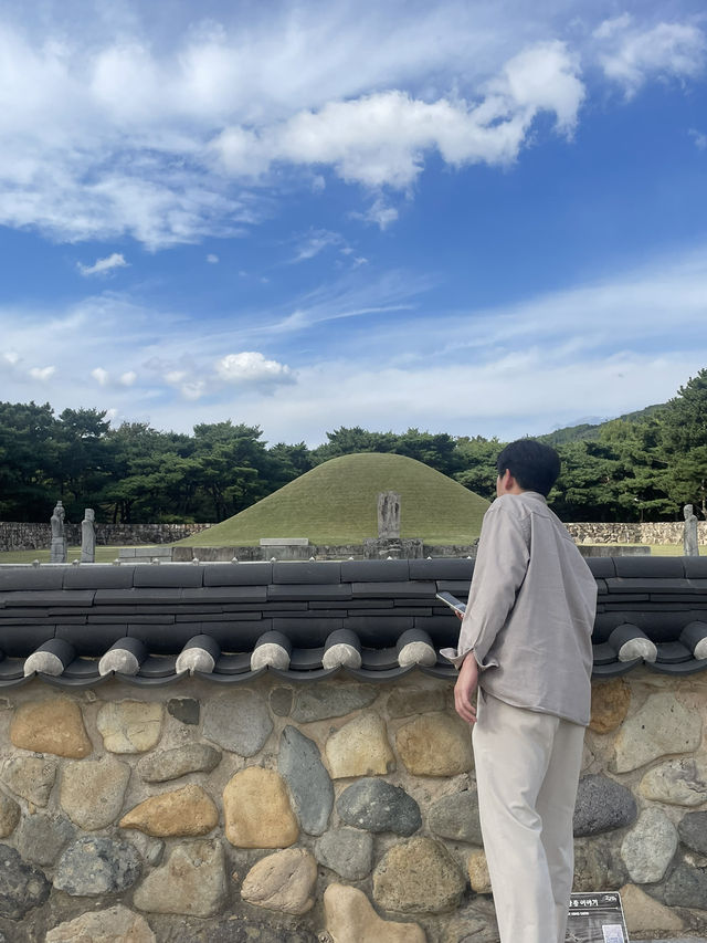 날 좋은 날 왕릉 산책 어때요👑⛰️🚶‍♀️