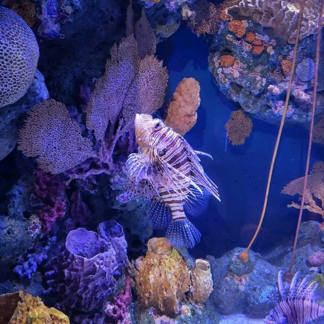 Sea Life Bangkok Ocean World