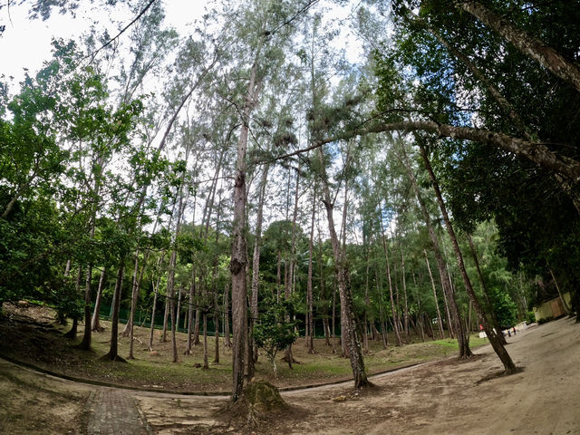 Embracing Nature in Langkawi: Beyond the Famous Beaches