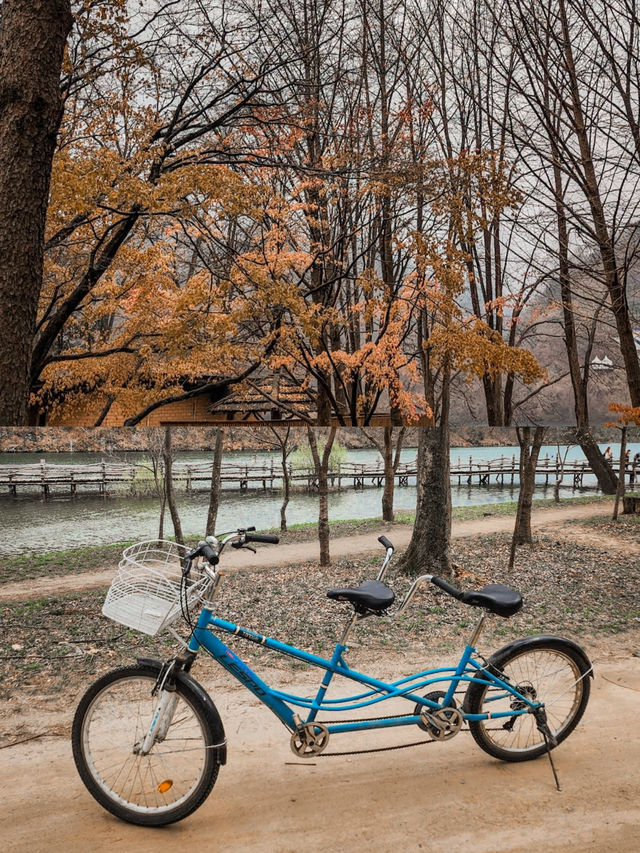 Autumn Splendor at Nami Island 🍁