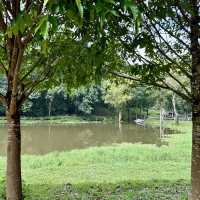 กางเต็นท์สัมผัสธรรมชาติ🌳ฝนพรำๆริมน้ำตกใกล้กรุงเทพ