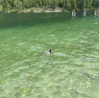 搭船遊國王湖