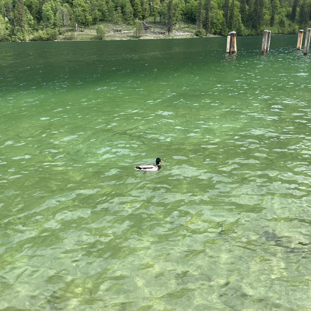 搭船遊國王湖