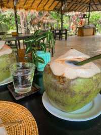 Saline Hot Spring Khlong Thom