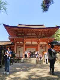 【朱塗りのあでやかな社殿が魅力✨世界遺産春日大社⛩️】