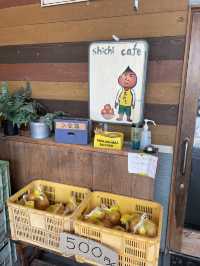 兵庫　淡路に行ったら食べて欲しい絶品ランチ❗️
