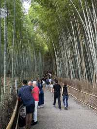 Arashiyama Bamboo Forest