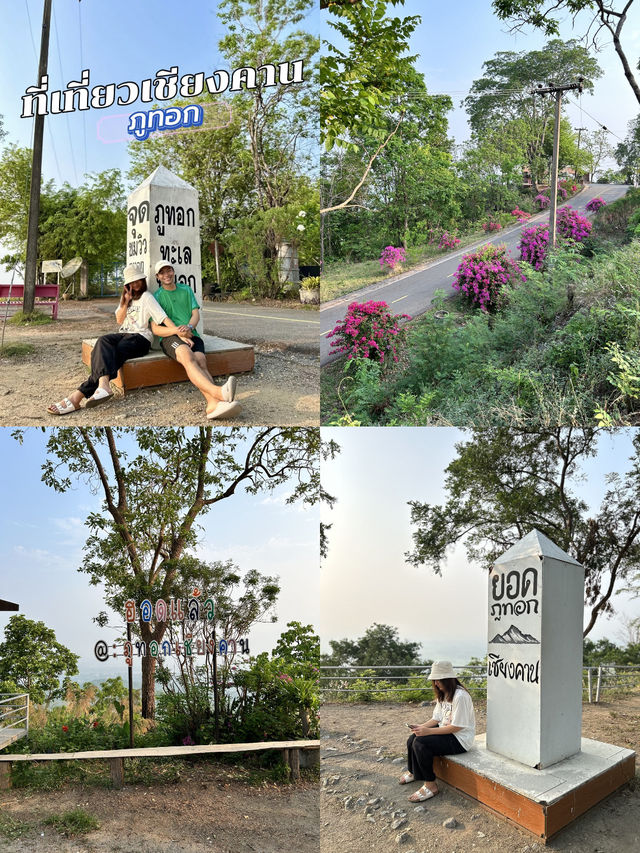 พระอาทิตย์ไม่ชัดทะเลหมอกไม่มี โชคร้ายที่ภูทอก🥹🤍